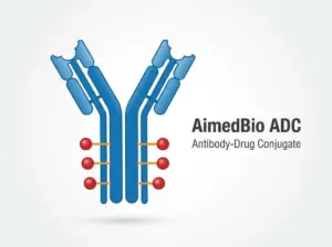 에임드바이오 ADC 플랫폼 기술 모식도 및 세포 타겟팅 과정 설명